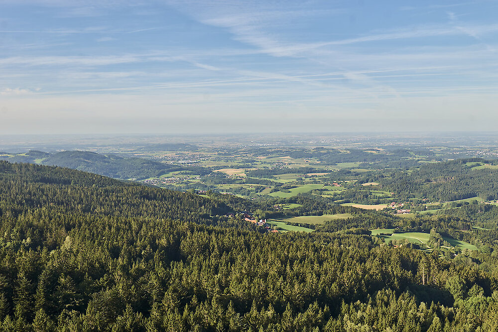 Schnäppchentage zum Jahresbeginn